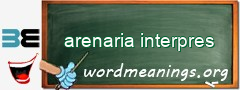 WordMeaning blackboard for arenaria interpres